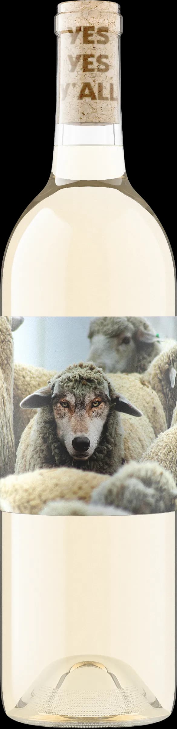 wine-img