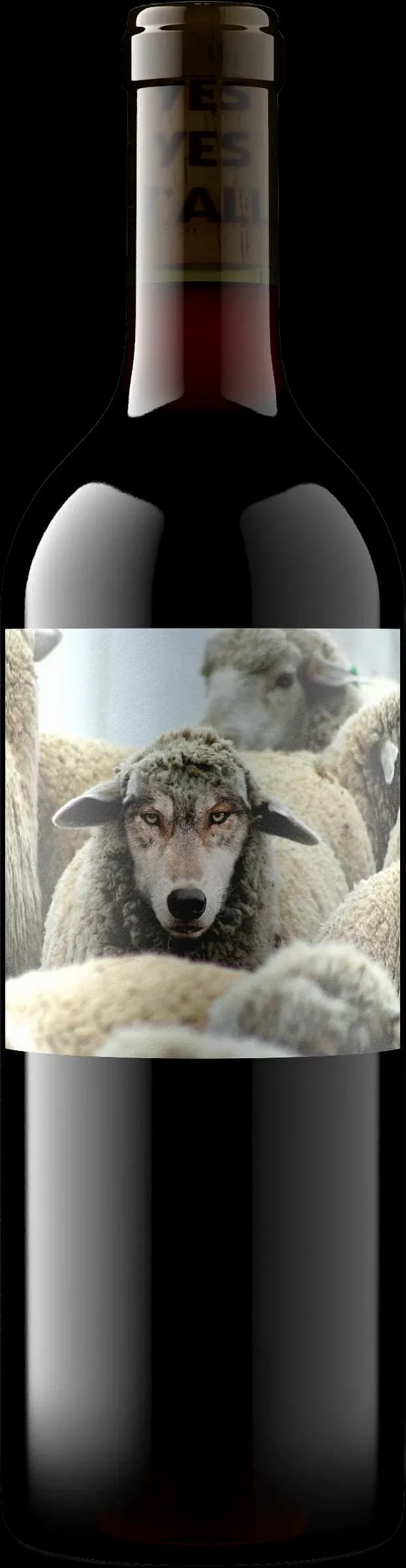 wine-img