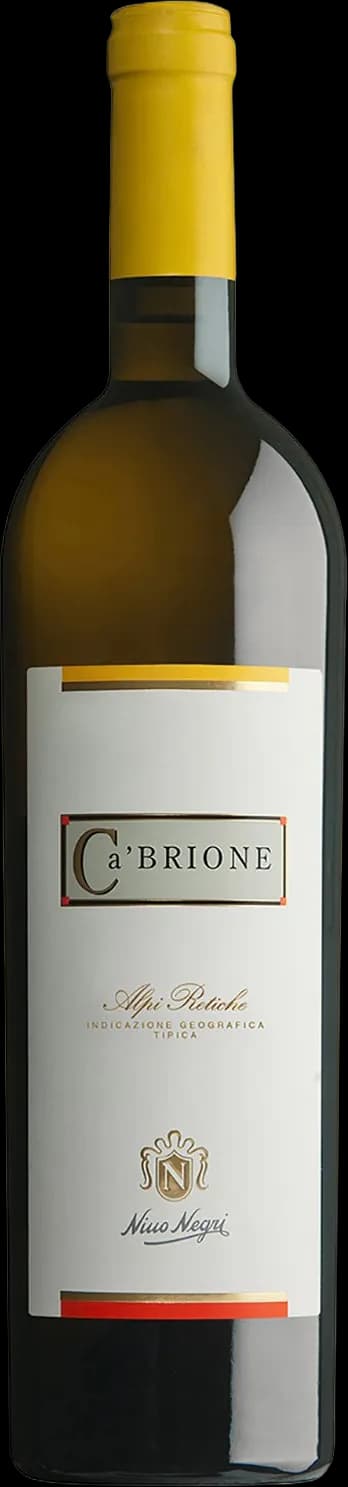 wine-img