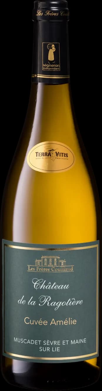 wine-img