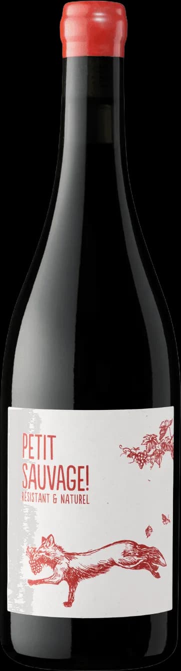 wine-img