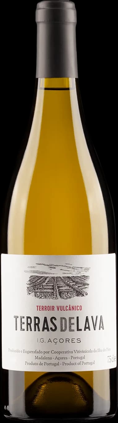 wine-img