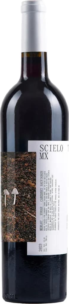 wine-img
