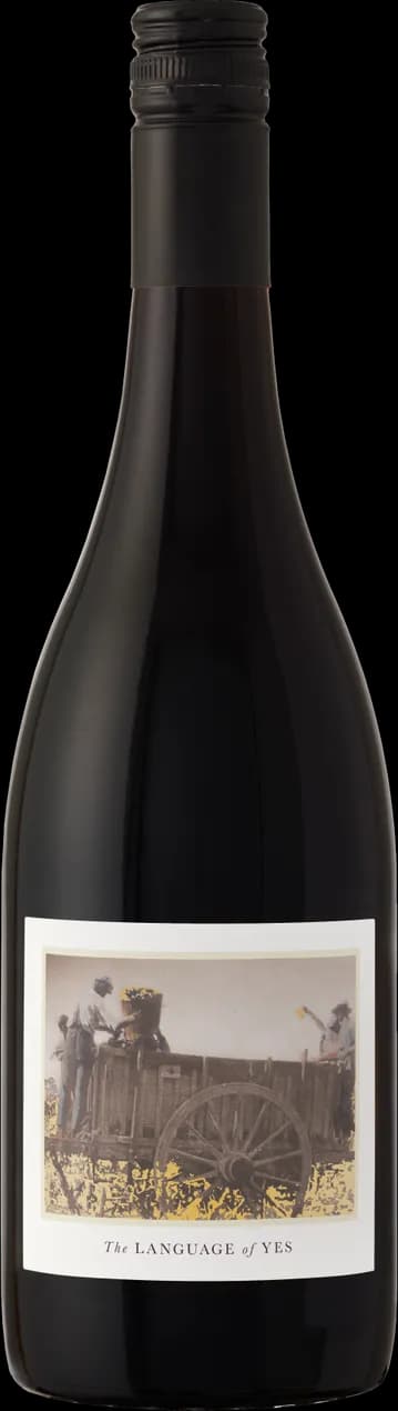 wine-img