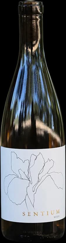 wine-img