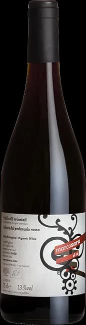 wine-img