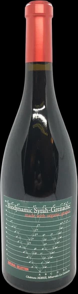 wine-img