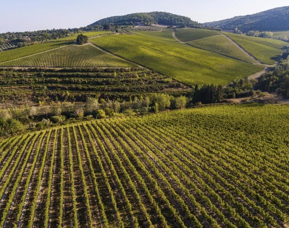 wineSpec