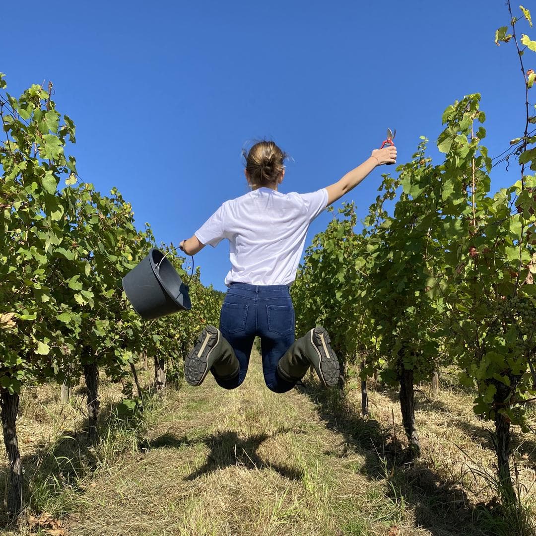 wineSpec