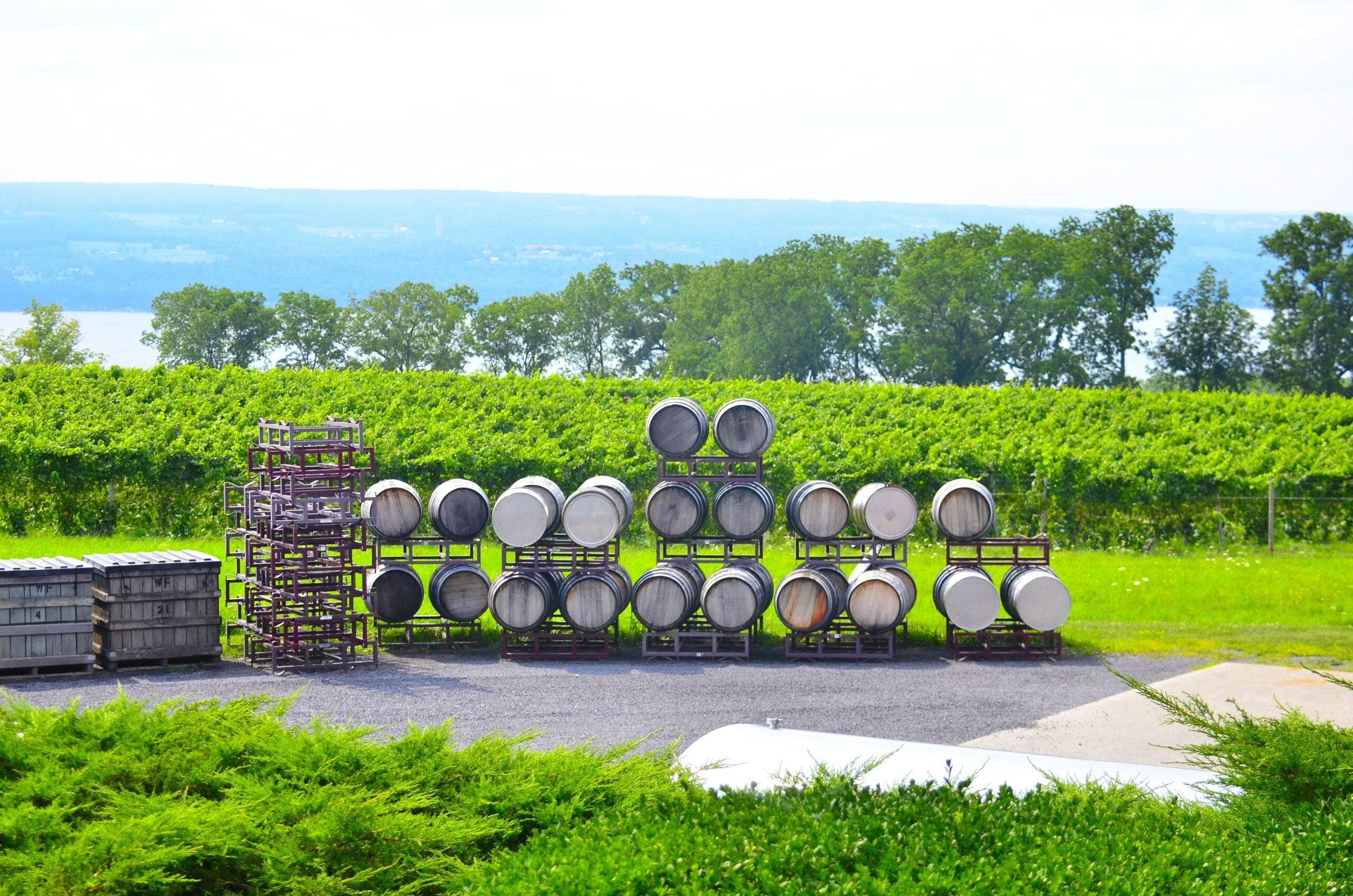 wineSpec
