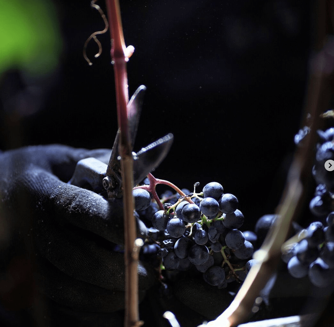 wineSpec