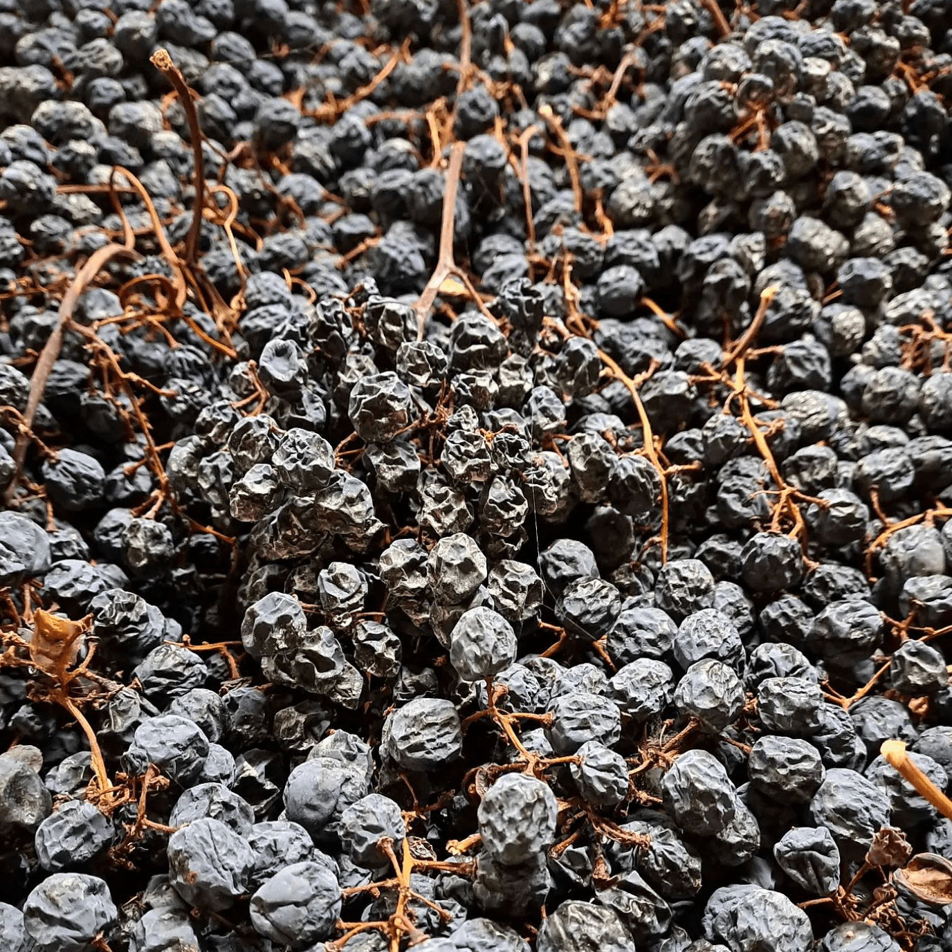 wineSpec