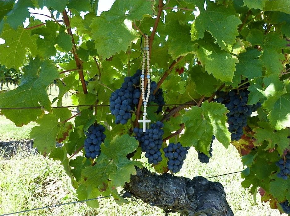 wineSpec