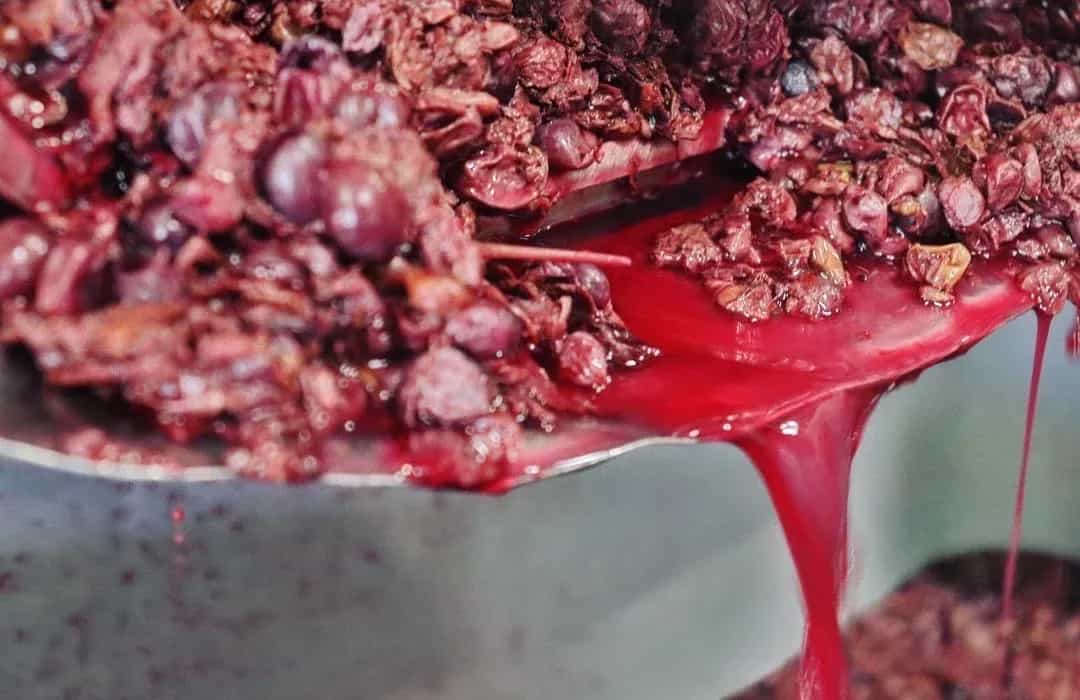 wineSpec